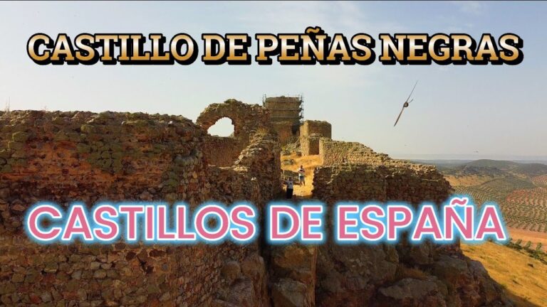Descubre los Mejores Barrios de Santa Brígida