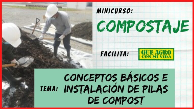 Cursos de Jardinería Disponibles en Moya