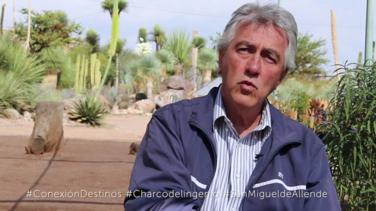 Descubre los Mejores Tours Históricos en Ingenio