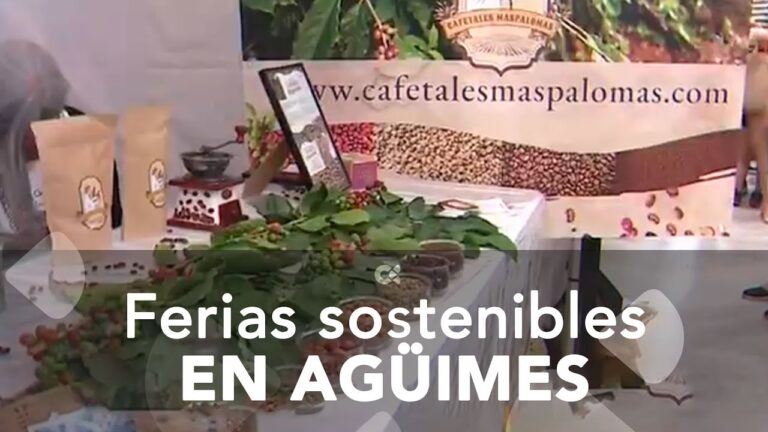 Ferias Artesanales en Valsequillo: Descubre las Mejores Opciones