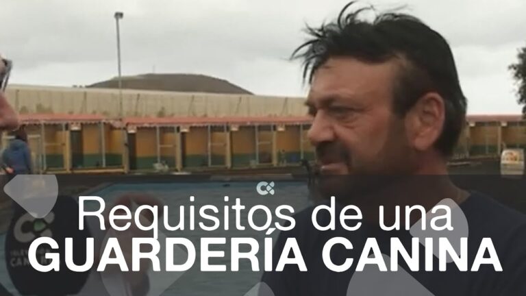 Normativas de Publicidad en Agüimes: Lo que Debes Saber