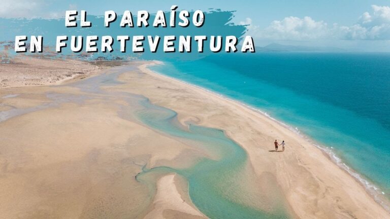 Guía para alquilar furgonetas en Santa Brígida