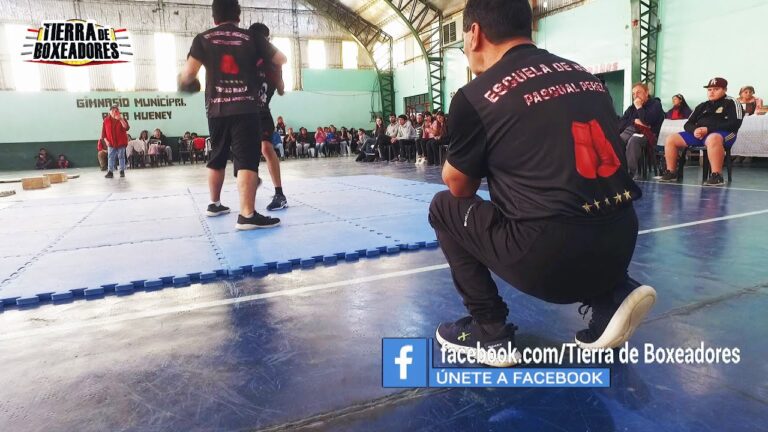 Academias de Boxeo en San Bartolomé de Tirajana: Guía Completa