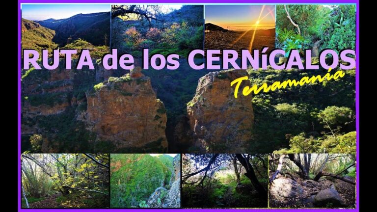 Rutas de monta&ntilde;a desde Telde: Explorando la naturaleza canaria