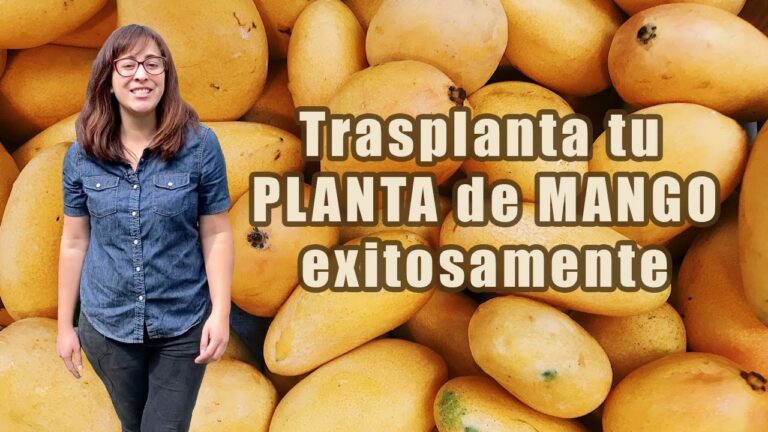 Dónde adquirir productos para compostaje en Telde