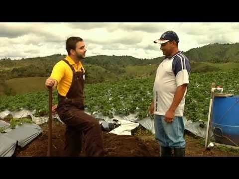 Dónde Adquirir Productos de Belleza Naturales en Valsequillo